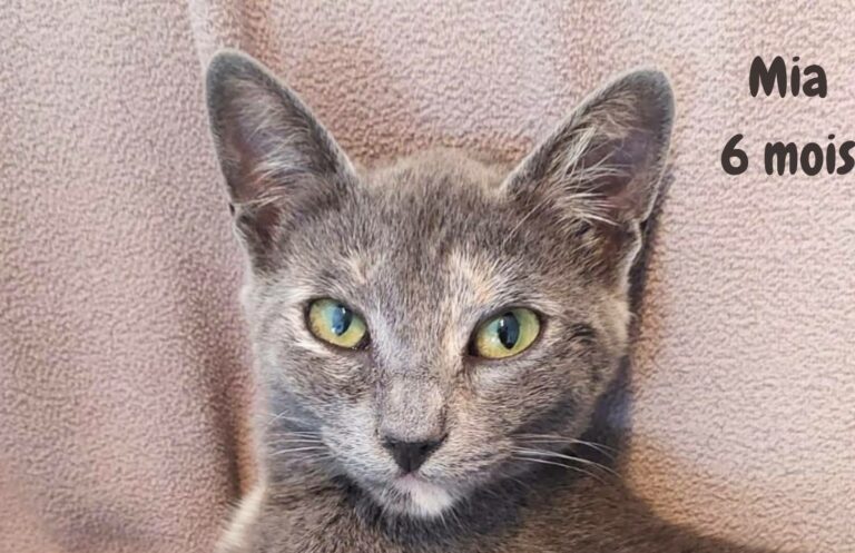 Mia